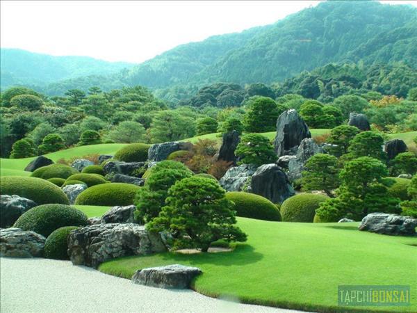 Bonsai, cay canh nghe thuat, cây cảnh nghệ thuật, cay the, cây thế, triển lãm bonsai, trien lam bonsai, triển lãm cây thế, trien lam cay the